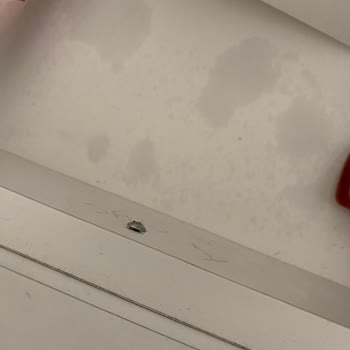 Sızdıran Deodorant Mobilyamda Kalıcı Leke Bıraktı Ve Açıklama İstiyorum