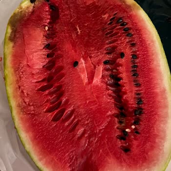 Migros Sanal Market'te Çürük Karpuz Teslimatı İçin İade Ve Kalite Kontrolü Talebi