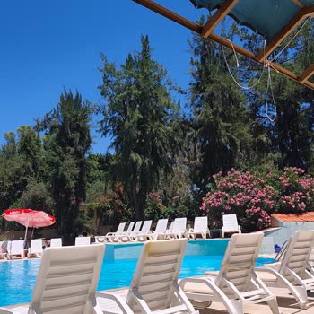 Alexius Beach’te Hijyen Sorunları Ve Silinen Olumsuz Yorumlar