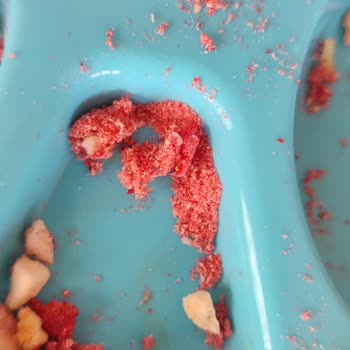 Hammm Dondurularak Kurutulmuş Meyve Küplerinde Kabuk Parçaları Ve Boğaz Riski