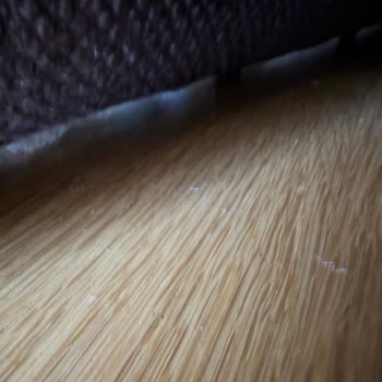 Ayakları Sabit Olmayan Koltuk Ve Kaba Satış Temsilcisi
