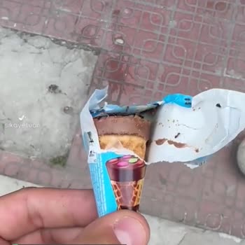 Ozmo'dan Karınca Çıktı
