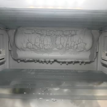 Miele Buzdolabındaki Kapak Montajı Sorunu Aşırı Buzlanmaya Yol Açıyor