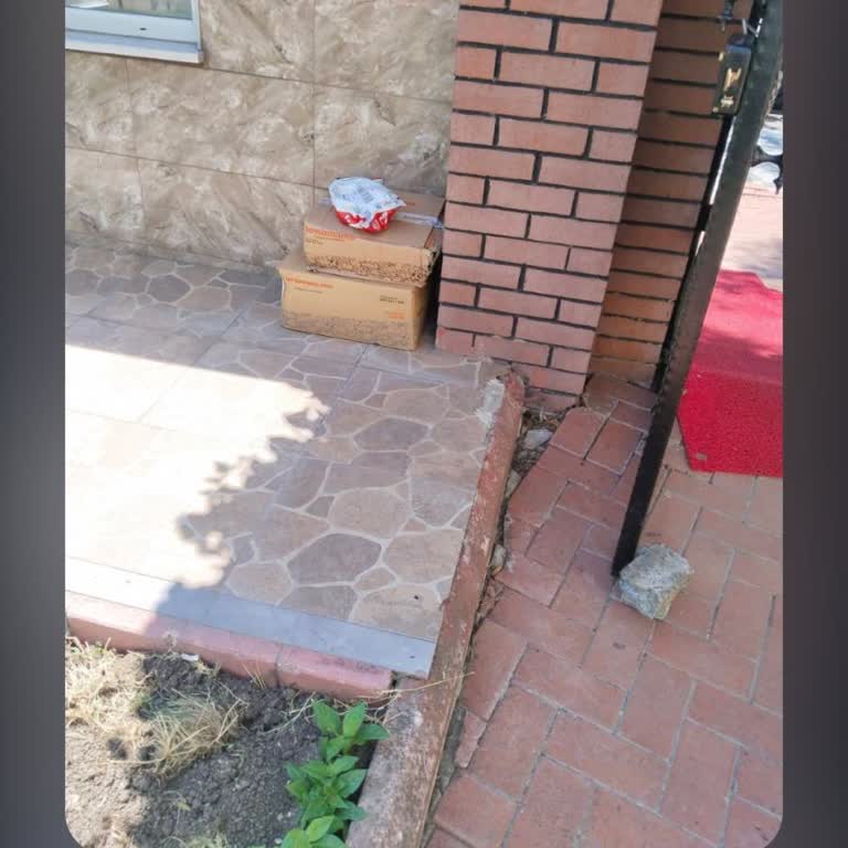 Kargo Kurye Kedi Kumu Ve Mamamı Kapıya Bırakıp Reddetti Ve Saygısız Davranış Sergiledi