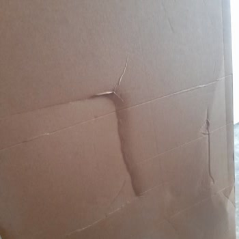 Kargo Görevlisinin Saygısız Davranışı Ve Koli Hasarı