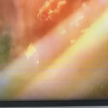 Samsung HG65AU800e Televizyonda Yatay Çizgiler Ve Bozulma, Servisin Cevapsızlığı, İade Talebi