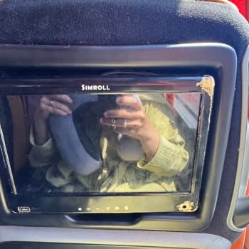 Bakımsız Ve Kirli Otobüs, Eksik Donanım Ve Hayvan Kabulüyle Kötü Yolculuk