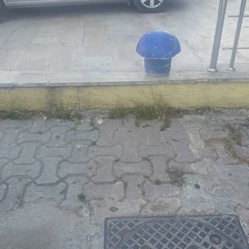 BİM Mağazasının Çıkan Beton Mantarı Nedeniyle Araç Hasarı Ve Sözünü Tutmaması