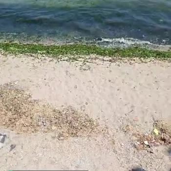 İstanbul Büyükşehir Belediyesi Gümüşyaka Halk Plajı Pisliği