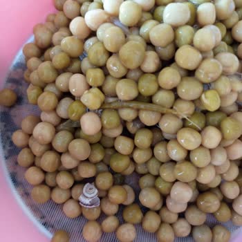 Yurdum Bezelye Konservesinde Salyangoz Tespiti