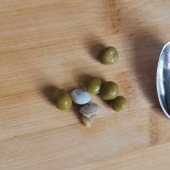 Yurdum Bezelye Konservesinde Salyangoz Tespiti Ve Ücret İadesi Talebi