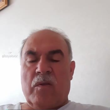 Floria Fidancılık Yaban Mersini Dalı Çok Kötü Geldi!