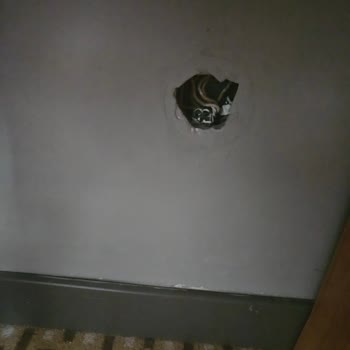 Sea Point Otel'de Oda Koşulları Ve Teknik Sorunlar Nedeniyle Mağduriyet