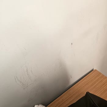 Sea Point Otel'de Oda Koşulları Ve Teknik Sorunlar Nedeniyle Mağduriyet