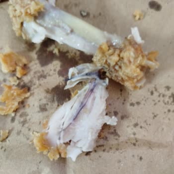 Popeyes’te Ekstra Kanatta Böcek Bulundu: Hijyen İhlali