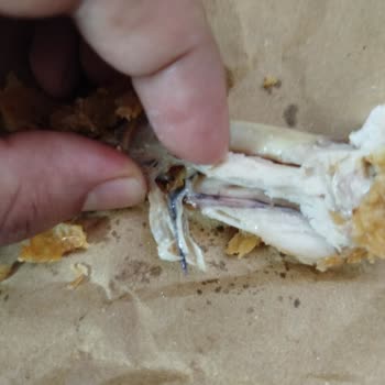 Popeyes’te Ekstra Kanatta Böcek Bulundu: Hijyen İhlali