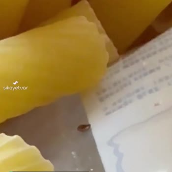 Makaroma Tarihi Geçmemiş Ama Böceklenmiş Makarna