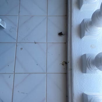 Tabiat Park Hotel Ayvalık’ta Hijyen Sorunu Ve Temizlik İhmaline Karşı Şikayet