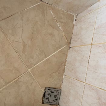 Phoenix Sun Otel Fotoğraflarla Uyuşmuyor Ve Şikayetimize Yanıt Gelmiyor