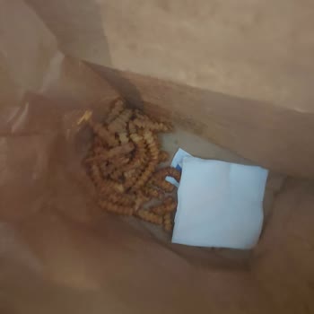 Arbys Kuruçeşme Şubesinde Eksik Patates Ve Az Tavuk, Soğuk Ve Dağınık Sipariş