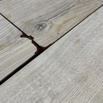 Axa Sigorta’da Acil Yardım Hattı Gecikmesi Alt Kat Komşuyu Mağdur Etti