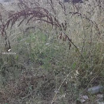 Kartepe Belediyesi Temizlik Sıkıntısı!