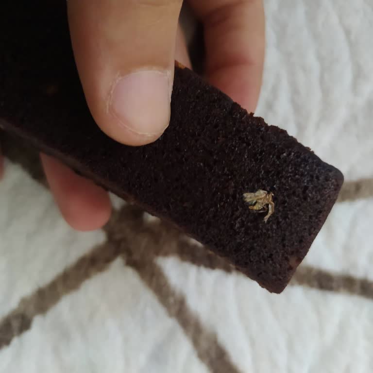 Eti Browni Classic Paketteki Böcek Ve Hijyen Endişesi