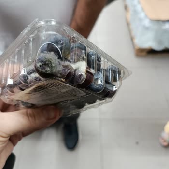 Şubede Küflü Ürünler Ve Personelin İlgisiz Tutumu: Denetim Talebi
