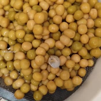 Yurdum Konserve Bezelye İçerisinden Salyangoz Çıktı