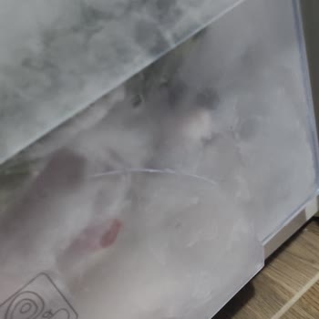 Beko Buzdolabımın Dondurucu Çekmece Plastik Parçası Kırıldı Ve Yedek Parça Talebi