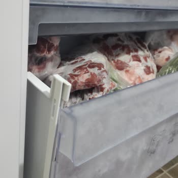 Beko Buzdolabımın Dondurucu Çekmece Plastik Parçası Kırıldı Ve Yedek Parça Talebi