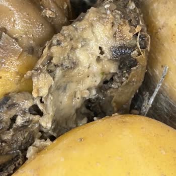 Patates Çuvallarında Kurtlar: Hijyen Ve Gıda Güvenliği Sorunu