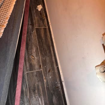 Hamam Böcekleri Ve Kirli Oda: Hijyen Sorunu Ve İade Talebi