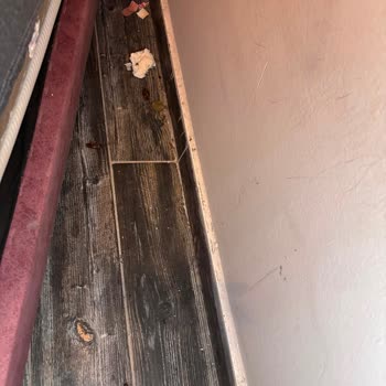 Hamam Böcekleri Ve Kirli Oda: Hijyen Sorunu Ve İade Talebi