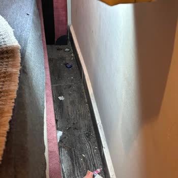 Hamam Böcekleri Ve Kirli Oda: Hijyen Sorunu Ve İade Talebi
