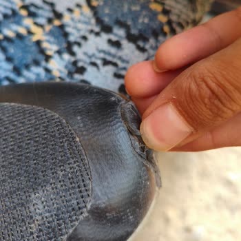 FLO Van Ayakkabısındaki Ön Açılma Sorunu Ve Değişim Talebi