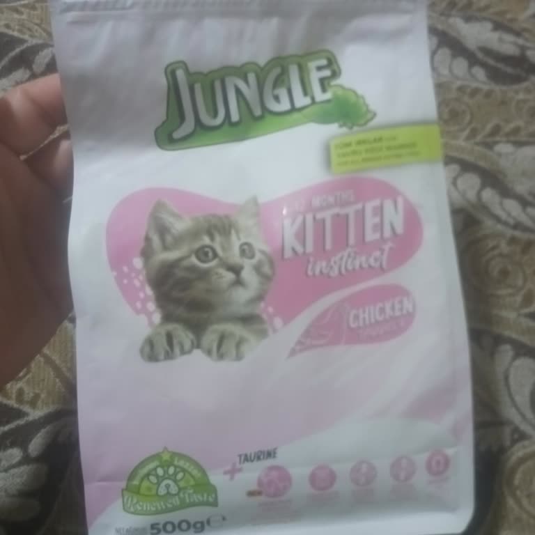 Jungle Kedi Maması Kedi Yavrularını Öldürdü: Acil İnceleme Ve Yardım Talebi
