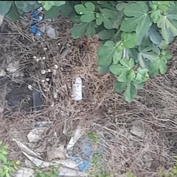 Ataşehir Küçükbakkalköy Boş Arsada Çöp Yığını Ve Sağlık Tehdidi
