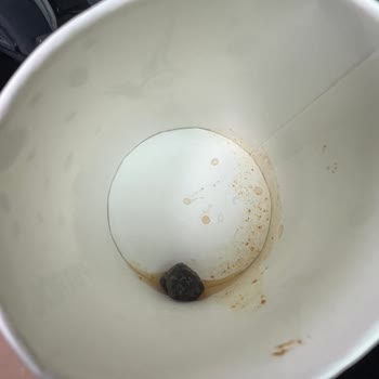 Patos Rolls Hot Chili & Lime Cipsinde Hayvan Dışkısına Benzeyen Bir Madde Tespit Edildi
