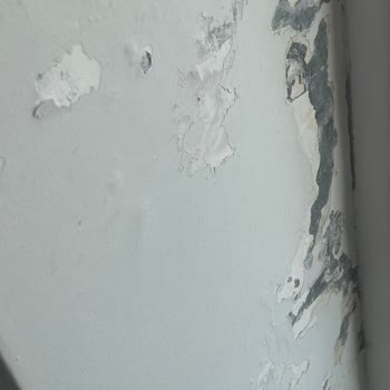 Sinpaş Life İncek’te Mutfak Duvarı Sızıntısı İçin Acil Onarım Talebi