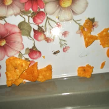 Doritos Hot Corn’da Böcek Tespit Edildi: Hijyen Ve Güven Sorunu