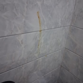 Eki aç