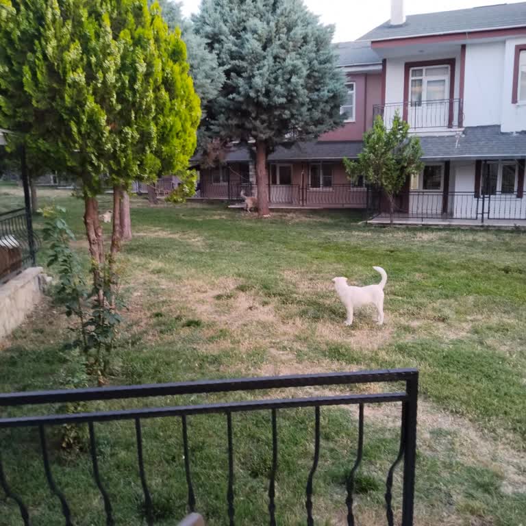 Aydın Palace Termal | Afyon Sorun Yaşama