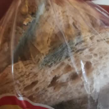 Küflü Ekmek Ve Son Kullanma Tarihi Geçmiş Ücret İadesi Talebi