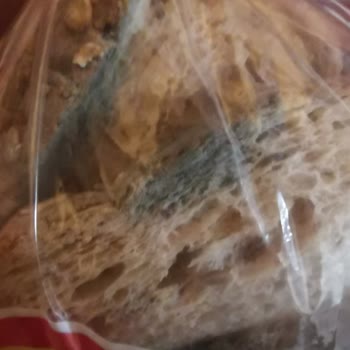 Küflü Ekmek Ve Son Kullanma Tarihi Geçmiş Ücret İadesi Talebi