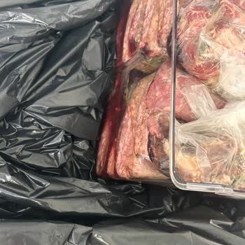 Arçelik Mini Dondurucu Arızası Ve 35 Bin TL Gıda Kaybı İçin Tazminat Talebi