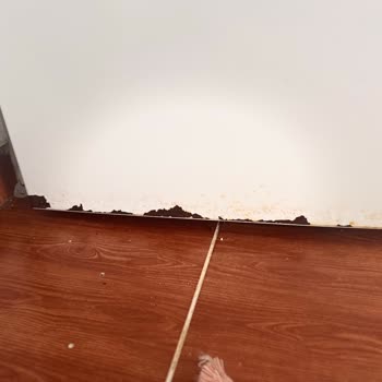 Vestel Buzdolabı Kapısında Aşırı Pas Ve Çürüme