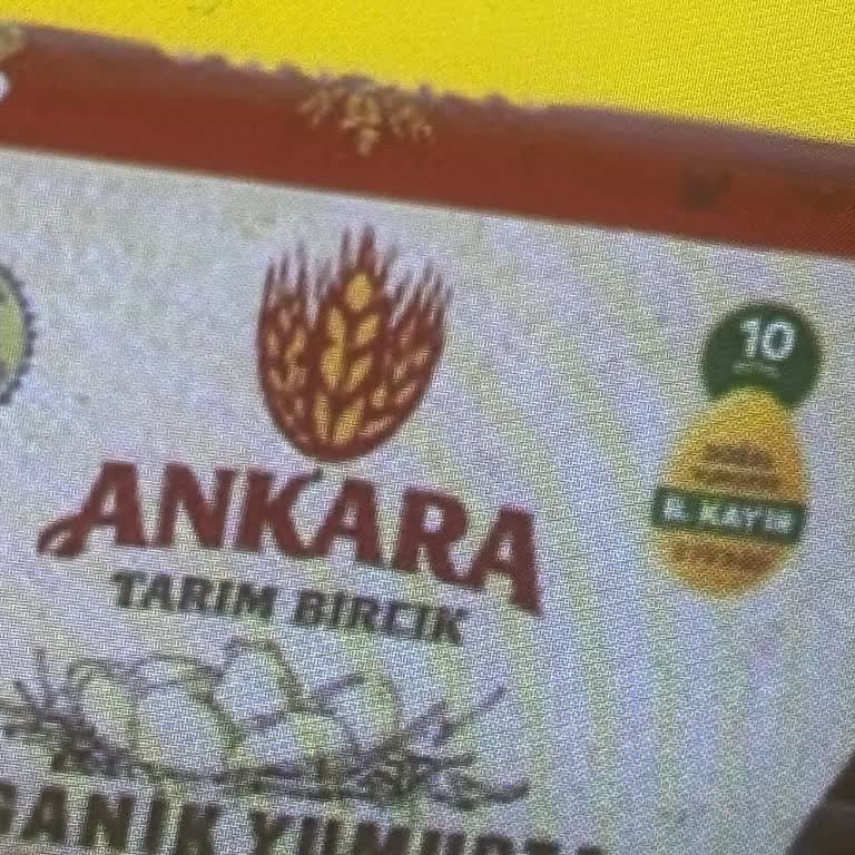 Biricik Gezen Tavuk Yumurtasında Bozulma Ve Sağlık Riski