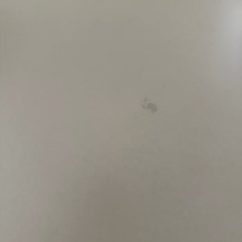Garanti Kapsamındaki Renk Değişimi Ve Teknik Servisin Sessizliği