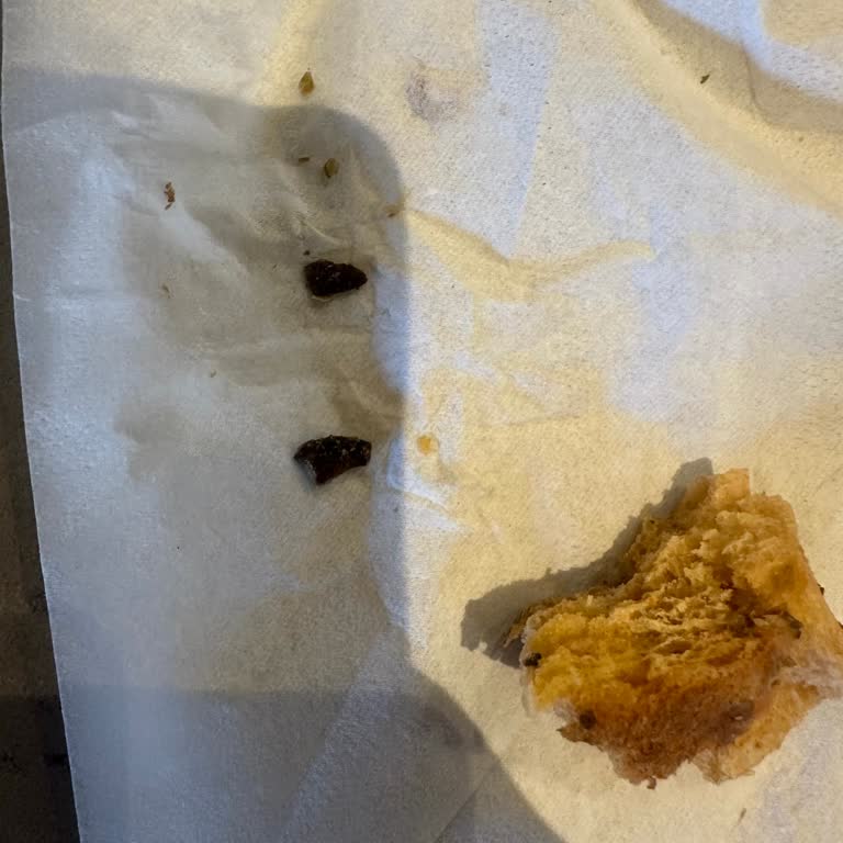 Starbucks Şubesindeki Sandviçte Zeytin Çekirdeği Parçaları Diş Dolgumu Çattı